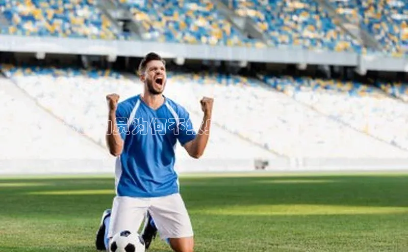 万向娱乐平台官网入口百度网盘日本足球运动员为何不纹身？探讨背后文化和传统