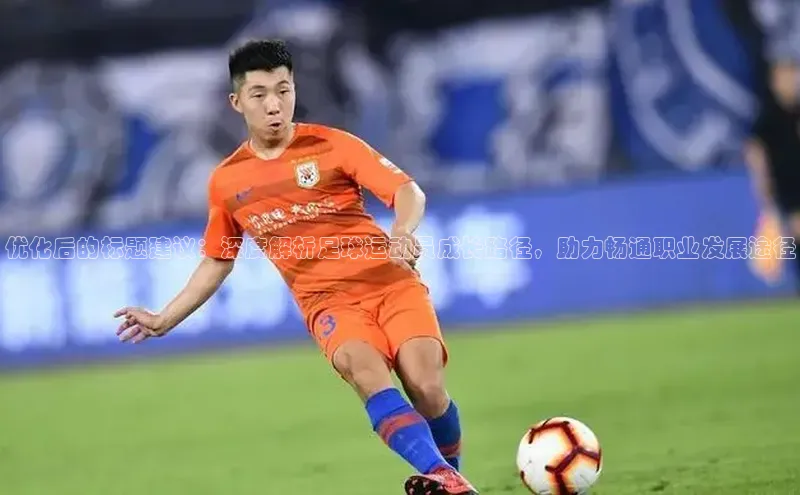 万向娱乐注册神思电子优化后的标题建议：深度解析足球运动员成长路径，助力畅通职业发展途径