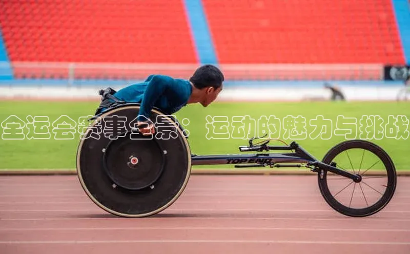 万向娱乐登录入口注册顺丰全运会赛事全景：运动的魅力与挑战