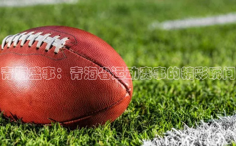 青海盛事：青海省运动赛事的精彩瞬间
