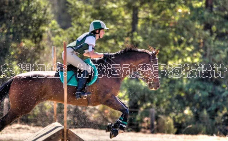 荣耀扣篮：排球运动赛事海报设计