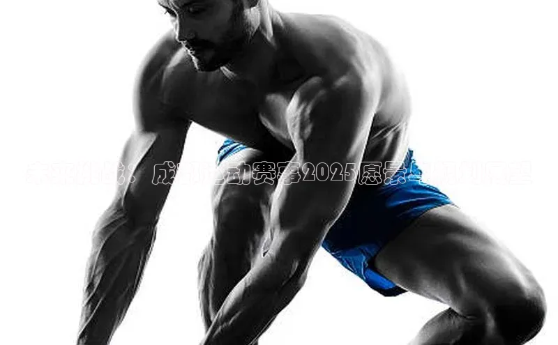 未来挑战：成都运动赛事2025愿景与规划展望