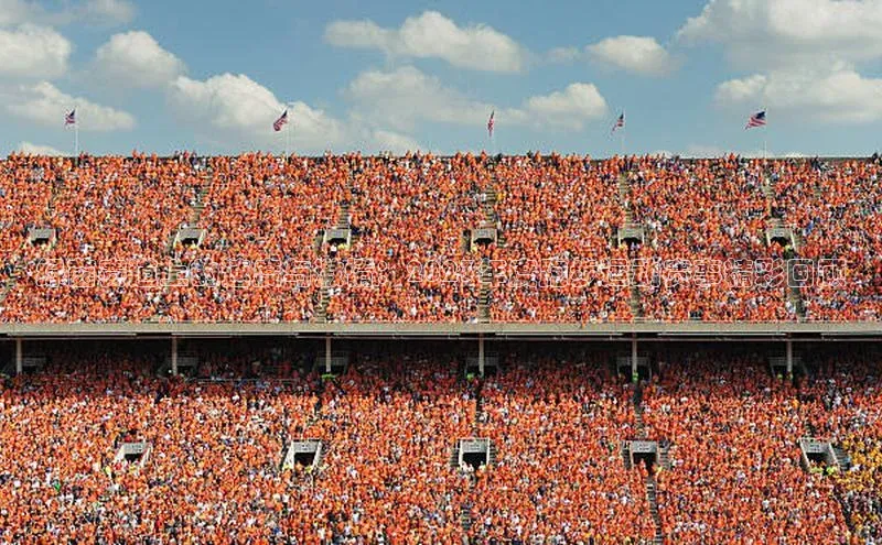 绿茵赛道上的速度与激情：2023年度跑步运动赛事精彩回顾