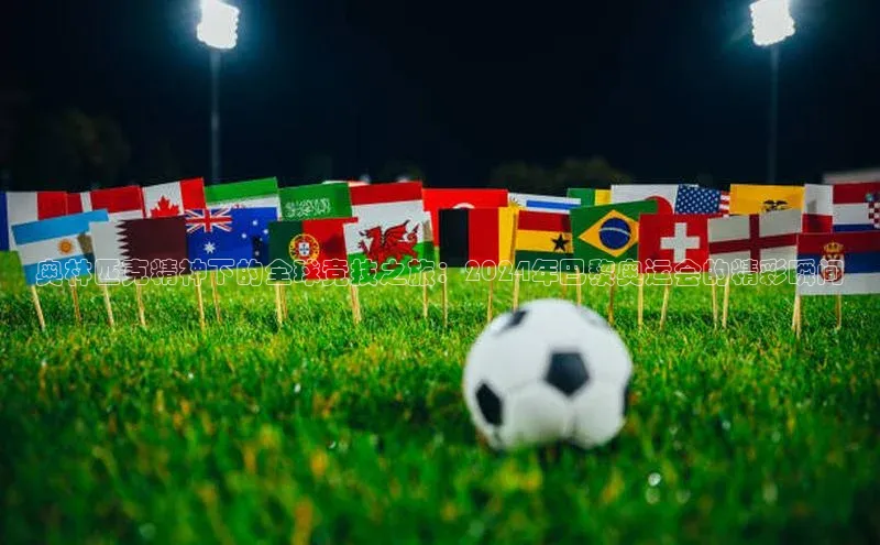 奥林匹克精神下的全球竞技之旅：2024年巴黎奥运会的精彩瞬间