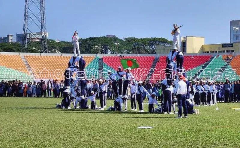 如何参加QQ运动会：轻松指南与技巧分享