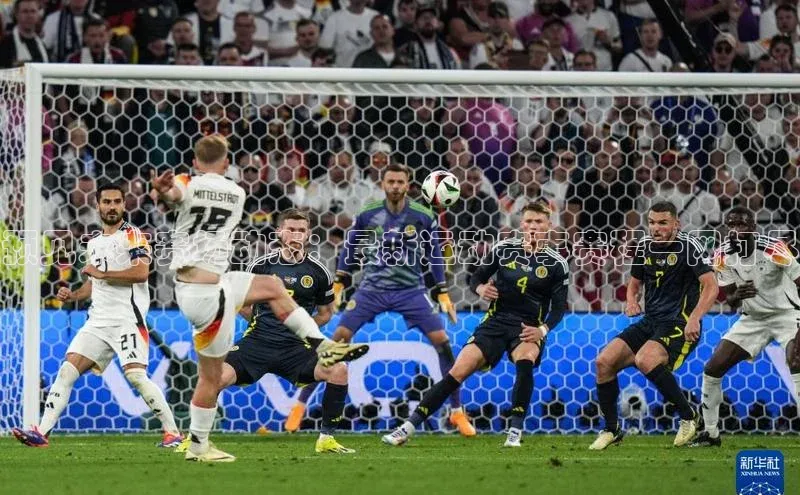 预见未来赛场动态：最新运动赛事赛程一网打尽