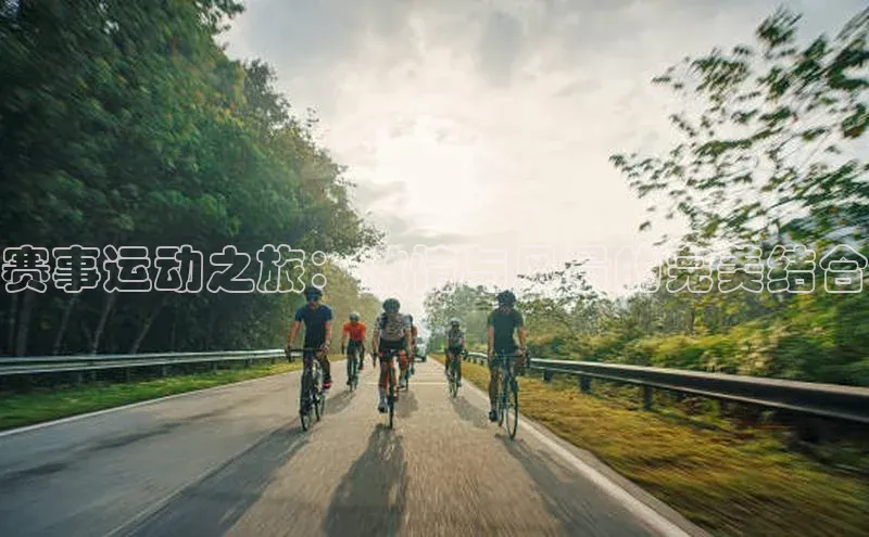 赛事运动之旅：激情与风景的完美结合