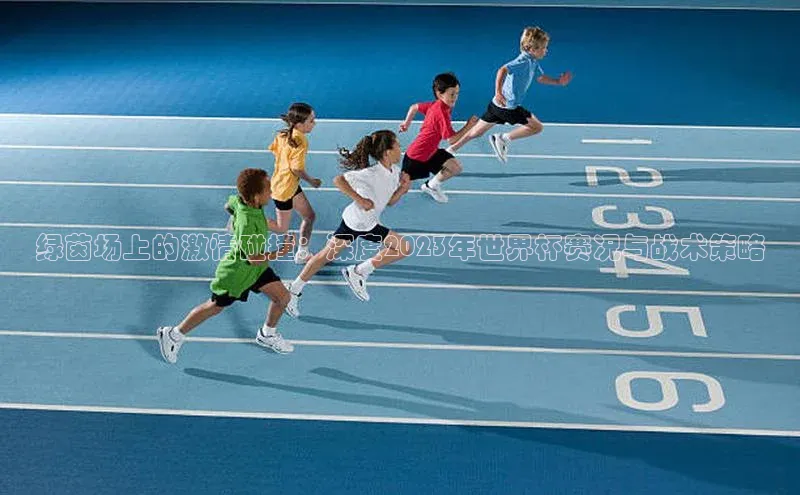 绿茵场上的激情碰撞：深度2023年世界杯赛况与战术策略