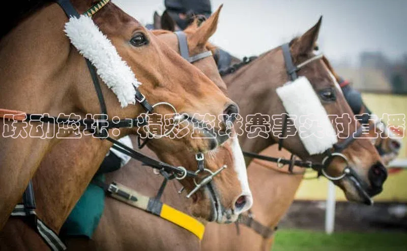 万向娱乐平台登录地址