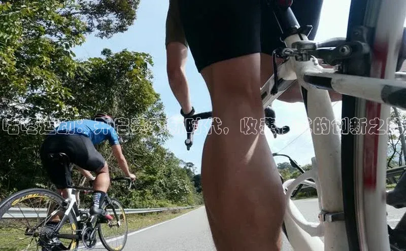 万向娱乐平台官网入口