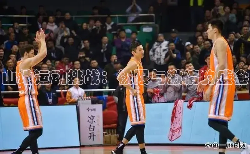 万向娱乐官网网页版登录入口