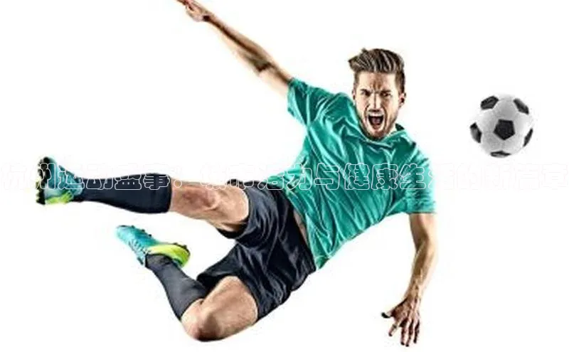 杭州运动盛事：城市活力与健康生活的新篇章