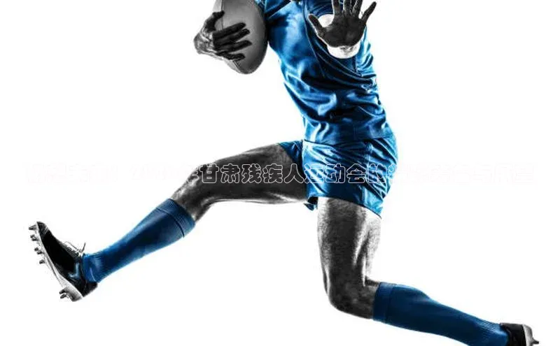 畅想未来：2026年甘肃残疾人运动会的精彩筹备与展望