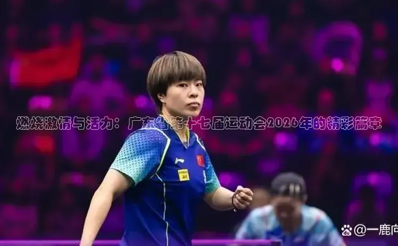 燃烧激情与活力：广东省第十七届运动会2026年的精彩篇章